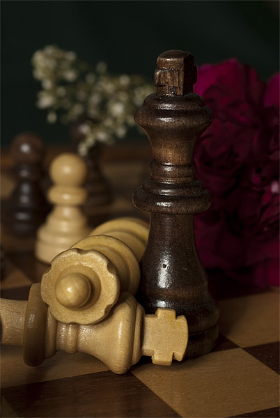Chess Picture Board by James Lavott
