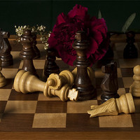 Buy canvas prints of Chess Conflict II by James Lavott
