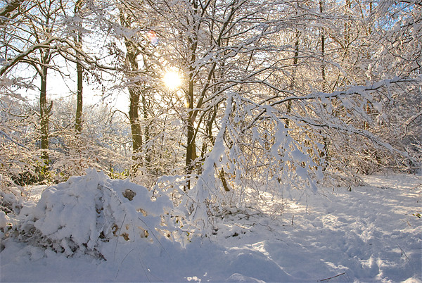 Snowy Sun Burst Picture Board by James Lavott