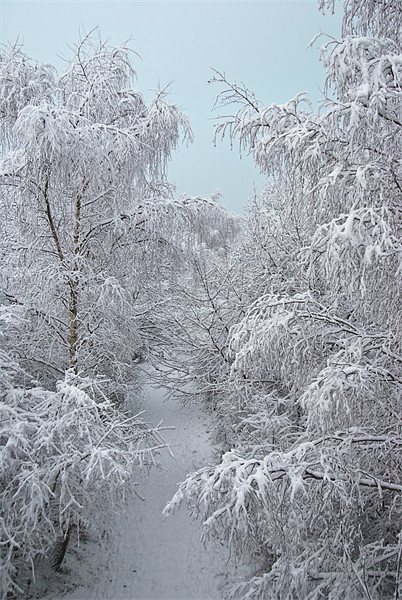 Snow Path Picture Board by James Lavott