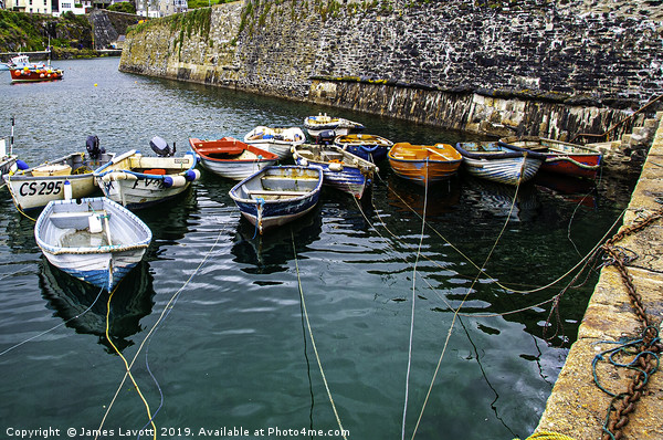 Rowing boats In Mevagissey Outer Harbour Picture Board by James Lavott