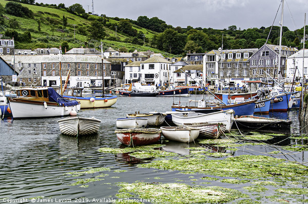 Boats In Mevagissey Harbour Picture Board by James Lavott