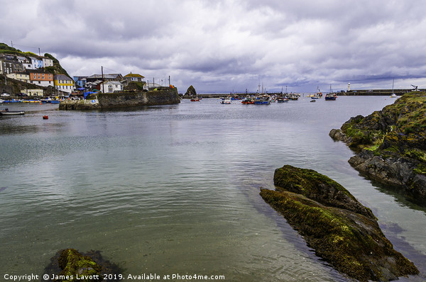 Mevagissey Inner & Outer Harbours Picture Board by James Lavott