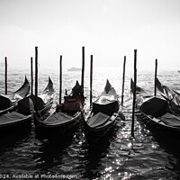 Buy canvas prints of Gondolas docked on a Venetian canal  by Moty Dimant