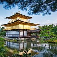 Buy canvas prints of Kinkaku-ji Golden Pavilion Kyoto Japan             by Moty Dimant