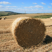 Buy canvas prints of The Hay bale by mark blower