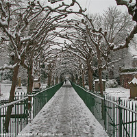 Buy canvas prints of Bird Cage Walk In Snow by mark blower