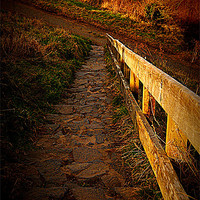 Buy canvas prints of Country Steps by GARY KEYS