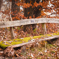 Buy canvas prints of The Bench by James Mc Quarrie