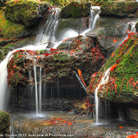 Buy canvas prints of Hollyhill waterfall by James Mc Quarrie