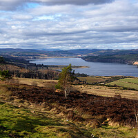 Buy canvas prints of View Over Dornoch Firth by Jacqi Elmslie
