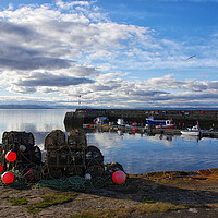 Buy canvas prints of Portmahomack Harbour Scotland by Jacqi Elmslie