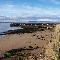 Buy canvas prints of Portmahomack beach and Harbour by Jacqi Elmslie