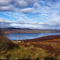 Buy canvas prints of Dornoch Firth by Jacqi Elmslie