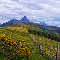 Buy canvas prints of Fence Leading In to Stac Pollaidh by Jacqi Elmslie