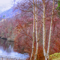 Buy canvas prints of Enjoying the view along Glen Affric  by Jacqi Elmslie