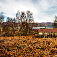 Buy canvas prints of The Old Wooden Shed by Jacqi Elmslie