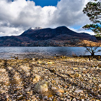 Buy canvas prints of Loch Maree and Slioch by Jacqi Elmslie