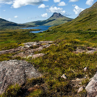 Buy canvas prints of Stac Pollaidh Through the Heather by Jacqi Elmslie