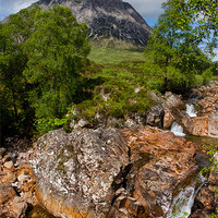 Buy canvas prints of The Buachaille in Summer by Jacqi Elmslie