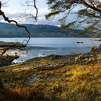 Buy canvas prints of Sheltered Bay of Loch Sunart by Jacqi Elmslie
