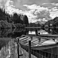 Buy canvas prints of Loch Ard black and white Scotland by Jacqi Elmslie