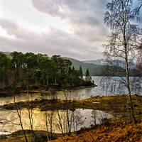 Buy canvas prints of Lonely Loch by Jacqi Elmslie