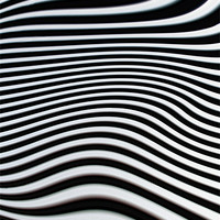 Buy canvas prints of Zebra Stripes by Jacqi Elmslie