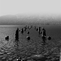 Buy canvas prints of Misty Morning on Loch Ness by Jacqi Elmslie