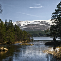 Buy canvas prints of Cairngorm and Loch Morlich by Jacqi Elmslie