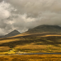 Buy canvas prints of  Ben Loyal Catching the Light by Jacqi Elmslie