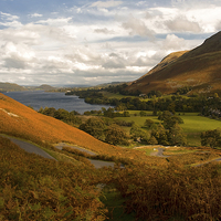 Buy canvas prints of Martindale View Through the Bracken by Jacqi Elmslie