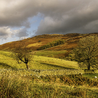 Buy canvas prints of  Light on Gowbarrow Fell by Jacqi Elmslie
