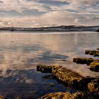 Buy canvas prints of Beauly Firth Winter Afternoon by Jacqi Elmslie