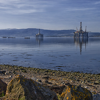 Buy canvas prints of Cromarty Firth Oil Rigs  by Jacqi Elmslie