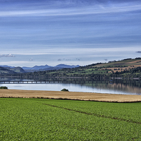 Buy canvas prints of  The Cromarty Firth Bridge by Jacqi Elmslie