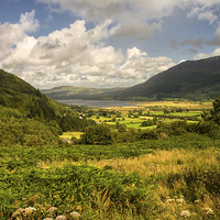 Buy canvas prints of Bassenthwaite from Whinlatter Pass  by Jacqi Elmslie