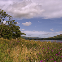 Buy canvas prints of Bassenthwaite Lake. Cumbria Floods Appeal by Jacqi Elmslie