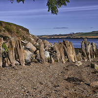 Buy canvas prints of  Natural Sculptures by the Cromarty Firth by Jacqi Elmslie