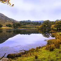 Buy canvas prints of Grasmere Reflections by Jacqi Elmslie
