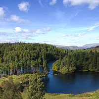 Buy canvas prints of Tarn Hows, the Lake District by Jacqi Elmslie