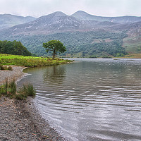 Buy canvas prints of Crummock Water Misty Morning by Jacqi Elmslie