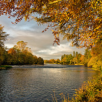 Buy canvas prints of Autumn by the River Ness by Jacqi Elmslie