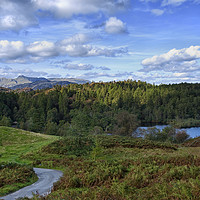 Buy canvas prints of Tarn Hows and the Langdale Hills by Jacqi Elmslie