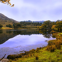 Buy canvas prints of Autumn by Grasmere in the Lake District by Jacqi Elmslie