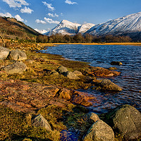 Buy canvas prints of By The Shores of Loch Etive by Jacqi Elmslie