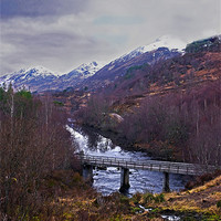 Buy canvas prints of Glen Affric Scotland by Jacqi Elmslie