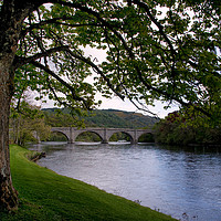 Buy canvas prints of The River Tay at Dunkeld Scotland by Jacqi Elmslie