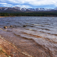 Buy canvas prints of Loch Morlich Early Spring by Jacqi Elmslie