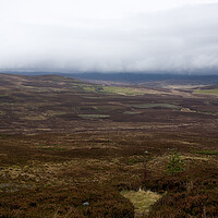 Buy canvas prints of November Fog Highlands of Scotland by Jacqi Elmslie